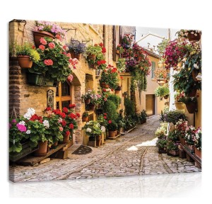 Obraz obrazy na ścianę miasto uliczka most 100x75