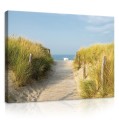 Obraz na ścianę obrazy obrazki plaża morze 100x75
