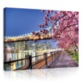 Obraz obrazy na ścianę miasto uliczka most 100x75