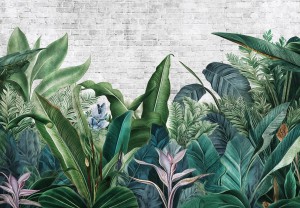 FOTOTAPETA na flizelinie LIŚCIE palmy listki piękne rośliny + klej gratis