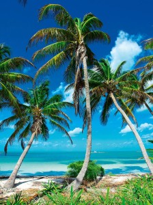 FOTOTAPETA na flizelinie PIONOWA morze plaża mural + KLEJ GRATIS