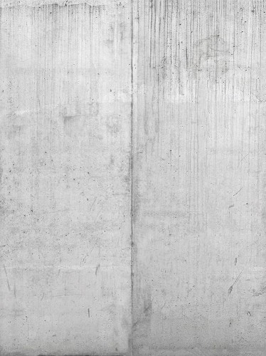 FOTOTAPETA beton mur płyty TYNK na flizelinie pionowa mural+ KLEJ