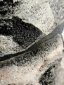 Tapeta winylowa na ścianę 3D zmywalna naturalny kamień mur beż złoto