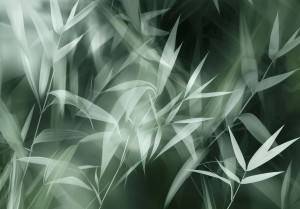 FOTOTAPETA LIŚCIE na flizelinie DO SALONU SYPIALNI fototapety na ścianę