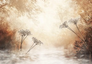 FOTOTAPETA LIŚCIE na flizelinie DO SALONU SYPIALNI fototapety na ścianę