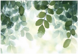 FOTOTAPETA LIŚCIE na flizelinie PIĘKNE LIŚCIE gałązki fototapety + klej