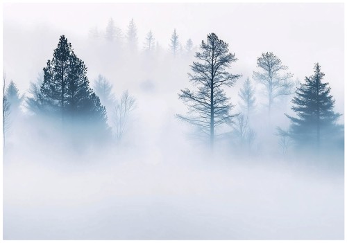 FOTOTAPETA LAS na flizelinie PIĘKNY WIDOK fototapety na ścianę + klej