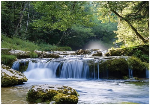 Fototapeta las góry wodospad brzozy natura do salonu sypialni biura 3d