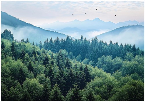 Fototapeta las góry świerki natura mgła pejzaż do salonu sypialni biura