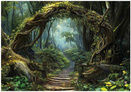 Fototapeta wejście do lasu pnącza ścieżka drzewa roślinność natura