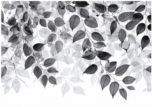 Fototapeta czarno szare liście nowoczesna dekoracja ścienna szary czarny