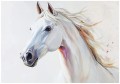 Fototapeta biały koń obraz na ścianę nowoczesna dekoracja szara biel