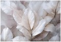 Fototapeta liście białe szare subtelny wzór roślinny