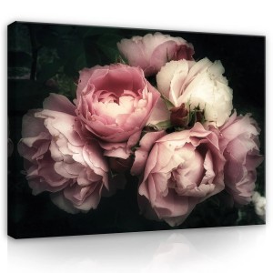 Obraz na płótnie obraz na ścianę różowy ciemny róże 100 x 75