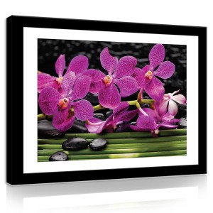 Obraz na płótnie obraz na ścianę fioletowy czarny orchidea kamienie 100