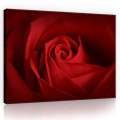 Obraz na płótnie obraz na ścianę beżowy biały liście kwiaty 3d 100 x 75