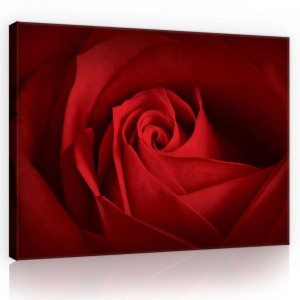 Obraz na płótnie obraz na ścianę beżowy biały liście kwiaty 3d 100 x 75