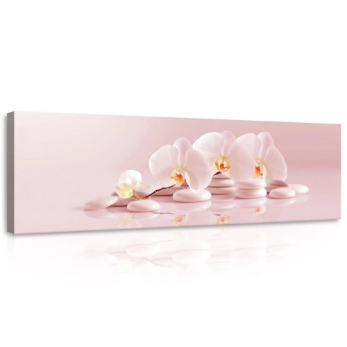 Obraz na płótnie obraz na ścianę orchidea różowy biały 145 x 45