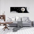 Obraz na płótnie obraz na ścianę dmuchawce biały czarny 145 x 45