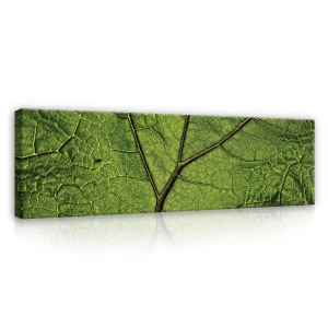 Obraz na płótnie obraz na ścianę liść zielony żółty 145 x 45
