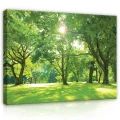 Obraz na płótnie obraz na ścianę park zielony jasny 100 x 75