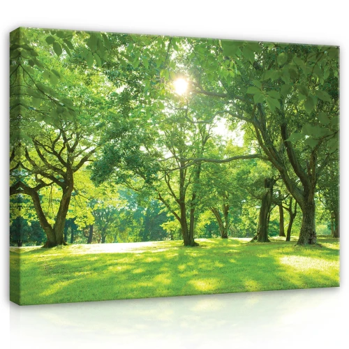 Obraz na płótnie obraz na ścianę park zielony jasny 100 x 75