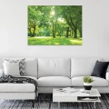 Obraz na płótnie obraz na ścianę park zielony jasny 100 x 75