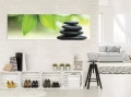 Obraz na płótnie obraz na ścianę liście zielony czarny 145 x 45