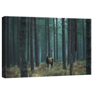 Obraz na płótnie obraz na ścianę zielony szary las mgła 60 x 40