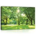 Obraz na płótnie obraz na ścianę zielony żółty park drzewa 60 x 40