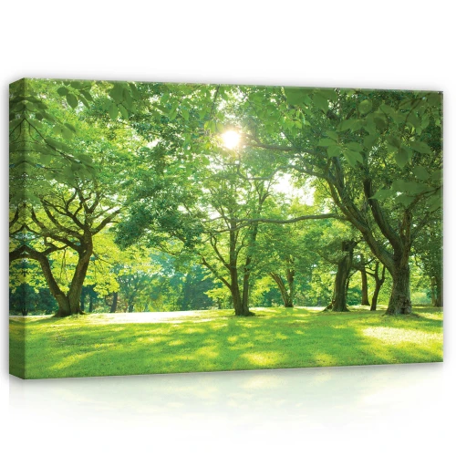 Obraz na płótnie obraz na ścianę zielony żółty park drzewa 60 x 40