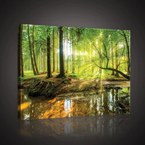 Obraz na płótnie obraz na ścianę zielony żółty las 60 x 40