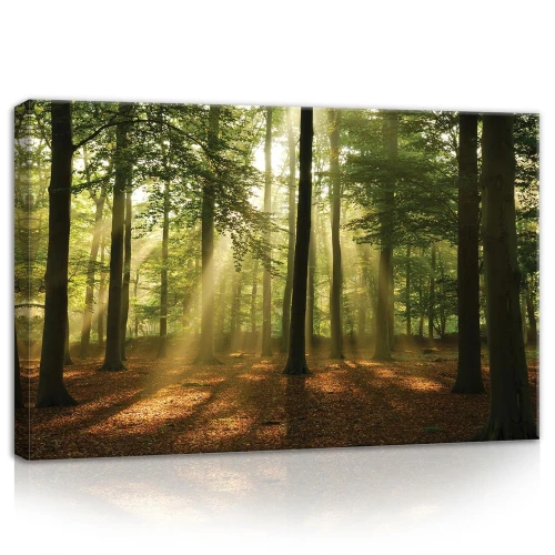 Obraz na płótnie obraz na ścianę zielony brązowy las 60 x 40