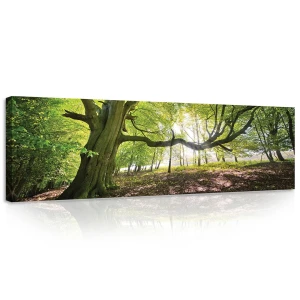 Obraz na płótnie obraz na ścianę zielony żółty drzewo las słońce 145 x 45