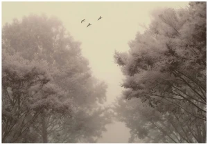 Fototapeta las beżowe drzewa mglisty krajobraz vintage natura