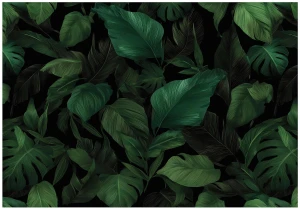 Fototapeta zielone tropikalne liście monstera ciemna dżungla