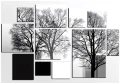 Fototapeta las czarne białe drzewa nowoczesna kompozycja panelowa