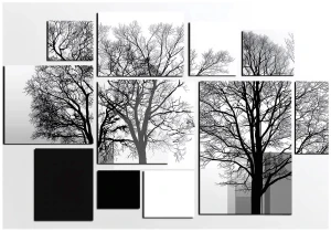 Fototapeta las czarne białe drzewa nowoczesna kompozycja panelowa