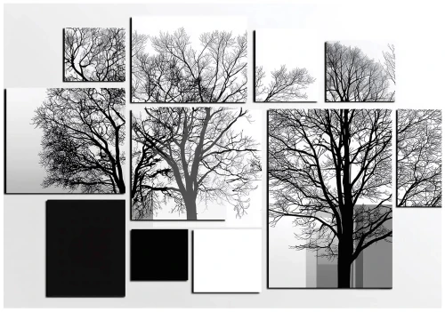 Fototapeta las czarne białe drzewa nowoczesna kompozycja panelowa