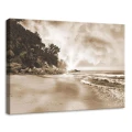 Obraz na płótnie obraz na ścianę plaża sepia beżowy brązowy 70 x 50