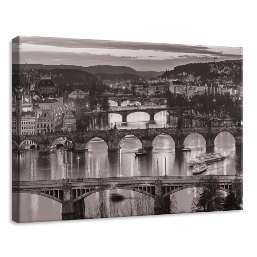 Obraz na płótnie obraz na ścianę Praga czarny beżowy mosty panorama