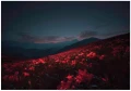 Fototapeta nocne kwiaty czerwone wzgórza gwiaździste niebo góry