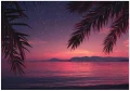 Fototapeta tropikalna plaża różowy zachód słońca morze palmy nocą