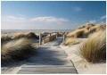 Fototapeta wydmy nad morzem beżowo niebieski krajobraz plażowy