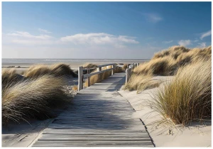 Fototapeta wydmy nad morzem beżowo niebieski krajobraz plażowy