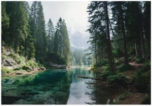 Fototapeta leśne jezioro zielony krajobraz górski z odbiciem w wodzie