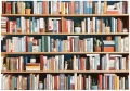 Fototapeta kolorowa regał z książkami biblioteka nowoczesna ściana