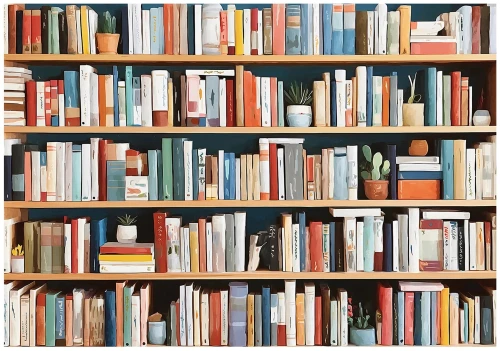 Fototapeta kolorowa regał z książkami biblioteka nowoczesna ściana