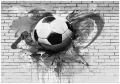 Fototapeta biała piłka nożna mural na cegle sportowa dekoracja ściany