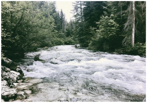 Fototapeta 3d zielony las rwąca rzeka skały drzewa natura górski pejzaż